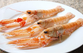 Scampi.