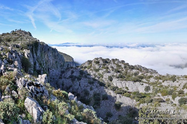 Aljibes restaurados del Algarrobal