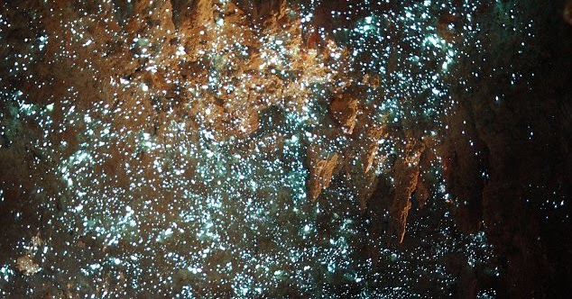 Bintang-bintang berkelipan di dalam gua bawah tanah 