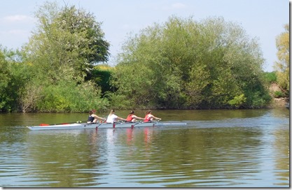 11 sculling