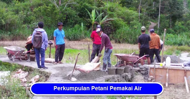 Perkumpulan Petani Pemakai Air