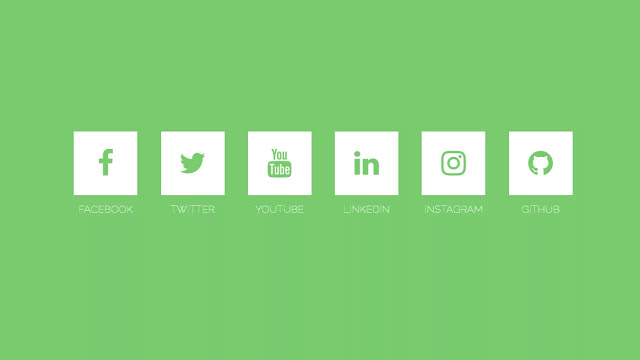 Fancy Flat Social Button with Animation