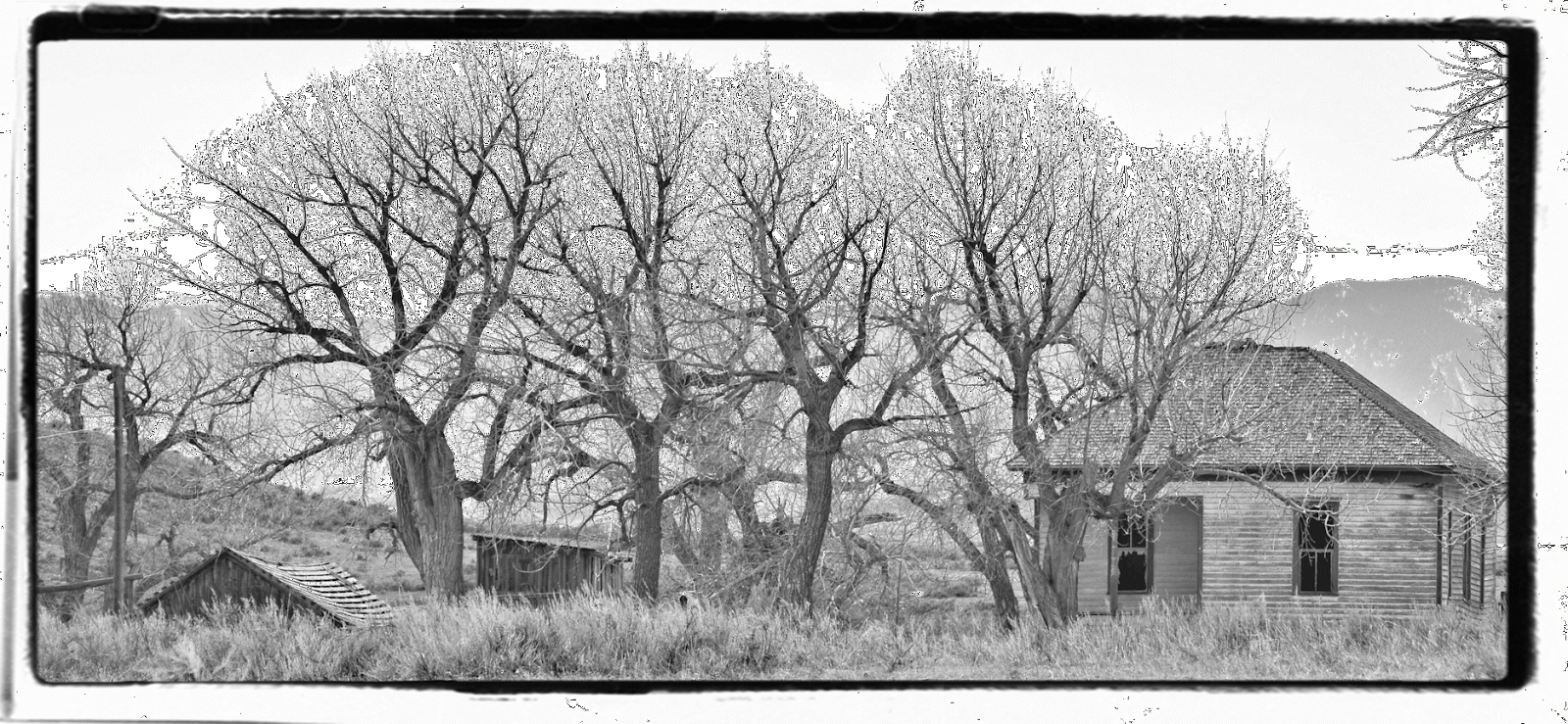 Abandoned Homestead Out West