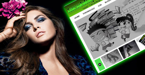 Faceblog Evolutions