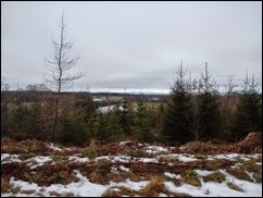 P2060285