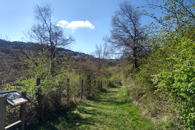 Ruta Verde del Valle Salado