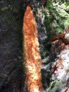 springs from rock walls, Rio Viejo, Puriscal, Costa Rica