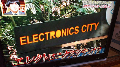 バンガロール エレクトロニクスシティ インド ＩＴ企業