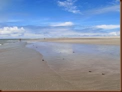 IMG_2515