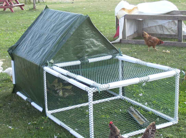 Easily Build a Chicken Coop