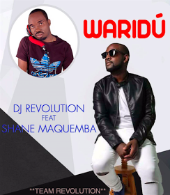 Dj Revolution Feat. Shane Maquemba - Waridu (Zouk) (2017) || DOWNLOAD