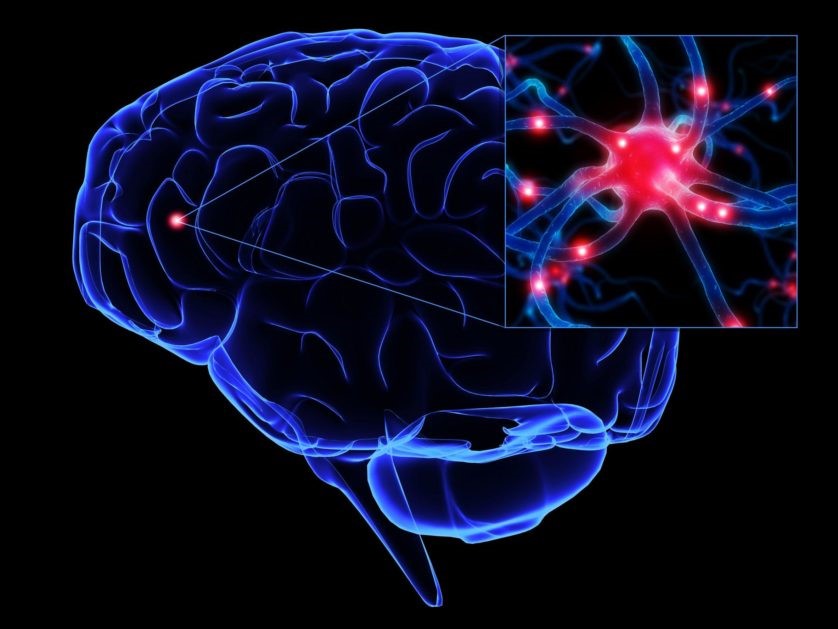 Pragmatismo-filosofia-da-mente-filosofia-da-neurociência (XVII