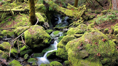 Fotografías de Paisajes Naturales