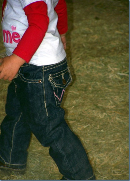 100_3510_4596_edited-1
