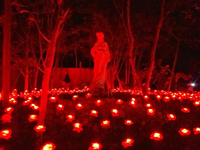 51k red roses