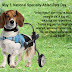 May 3, National Specially-Abled Pets Day