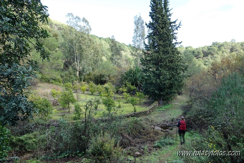 Sendero Río de los Horcajos