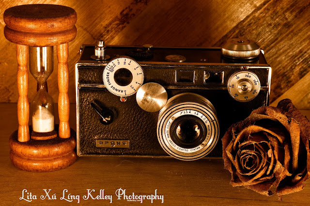 Argus C3 Rangefinder, "The Brick" Fine Art Photo by Lita Kelley