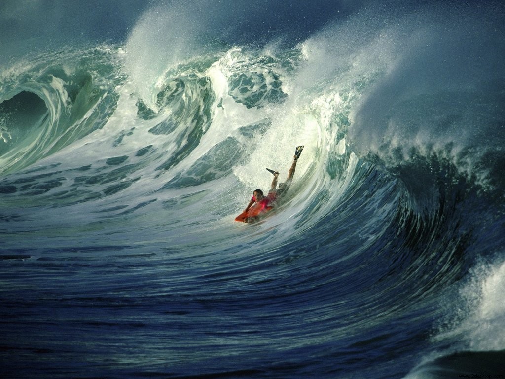 Surfing in a big wave