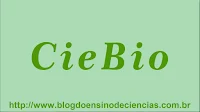 30 Exercícios sobre Reino Plantae 7º ano.