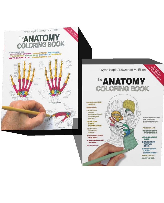 Download PDF Anatomy Coloring Book, The (3&2rd Edition)