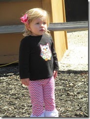 zoo with meme 027