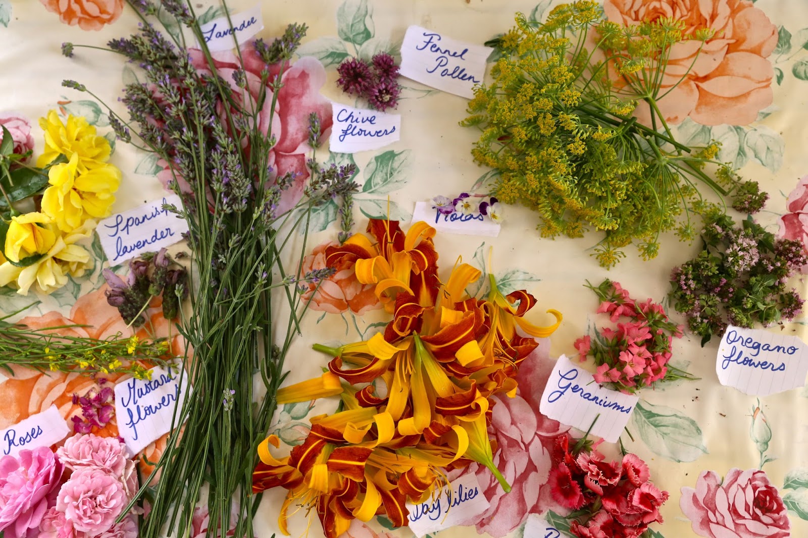 Edible Flowers