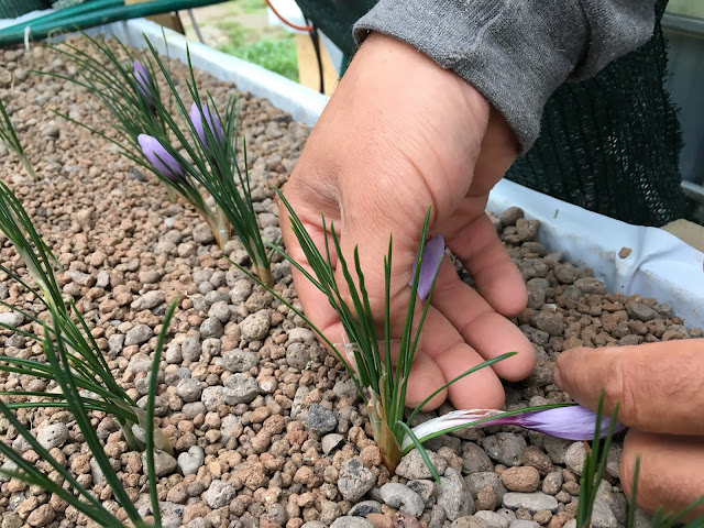 agroecologia e acquaponica in basilicata