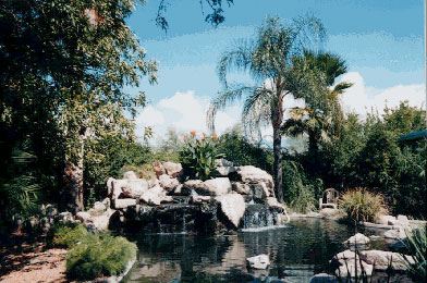 ISKCON Tucson Garden