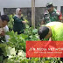 Wujudkan Kawasan Ramah Lingkungan, Babinsa Gadingrejo Bersama Dinas Pertanian Lakukan Pembersihan KRPL
