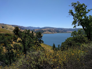 Calaveras Reservoir and the hills beyond, with sticky monkeyflower blooming in the foreground, Calaveras Road near Milpitas, California