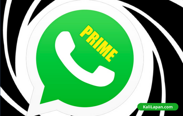 Apa Itu Prime WhatsApp