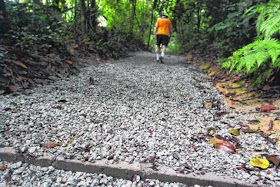 CHIPS OF CONTENTION: Parts of a running trail at MacRitchie Reservoir have been paved with gravel chips, drawing the ire of trail runners who prefer to run on natural terrain.