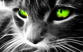 Green Cat Eyes Wallpaper