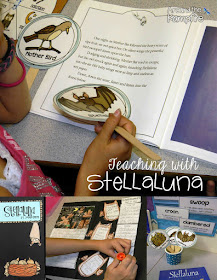 Teaching comprehension with Stellaluna