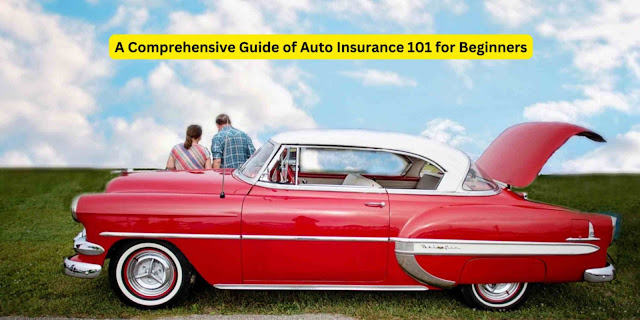 A Comprehensive Guide of Auto Insurance 101 for Beginners