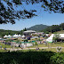 Day 2: Iksan Seodong Festival - South Korea