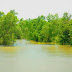 Sundarbans National Park