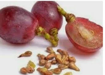 Manfaat biji buah anggur
