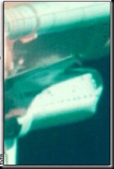 columbia1south[1]