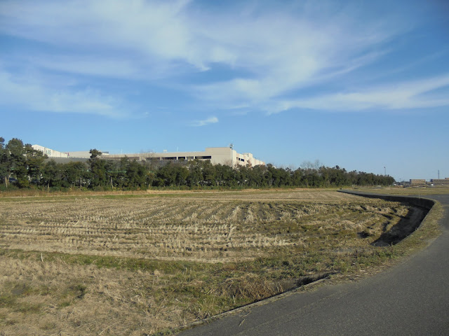 海岸に向かう農道を歩きます