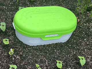 Vego In-Ground Worm Composter installed