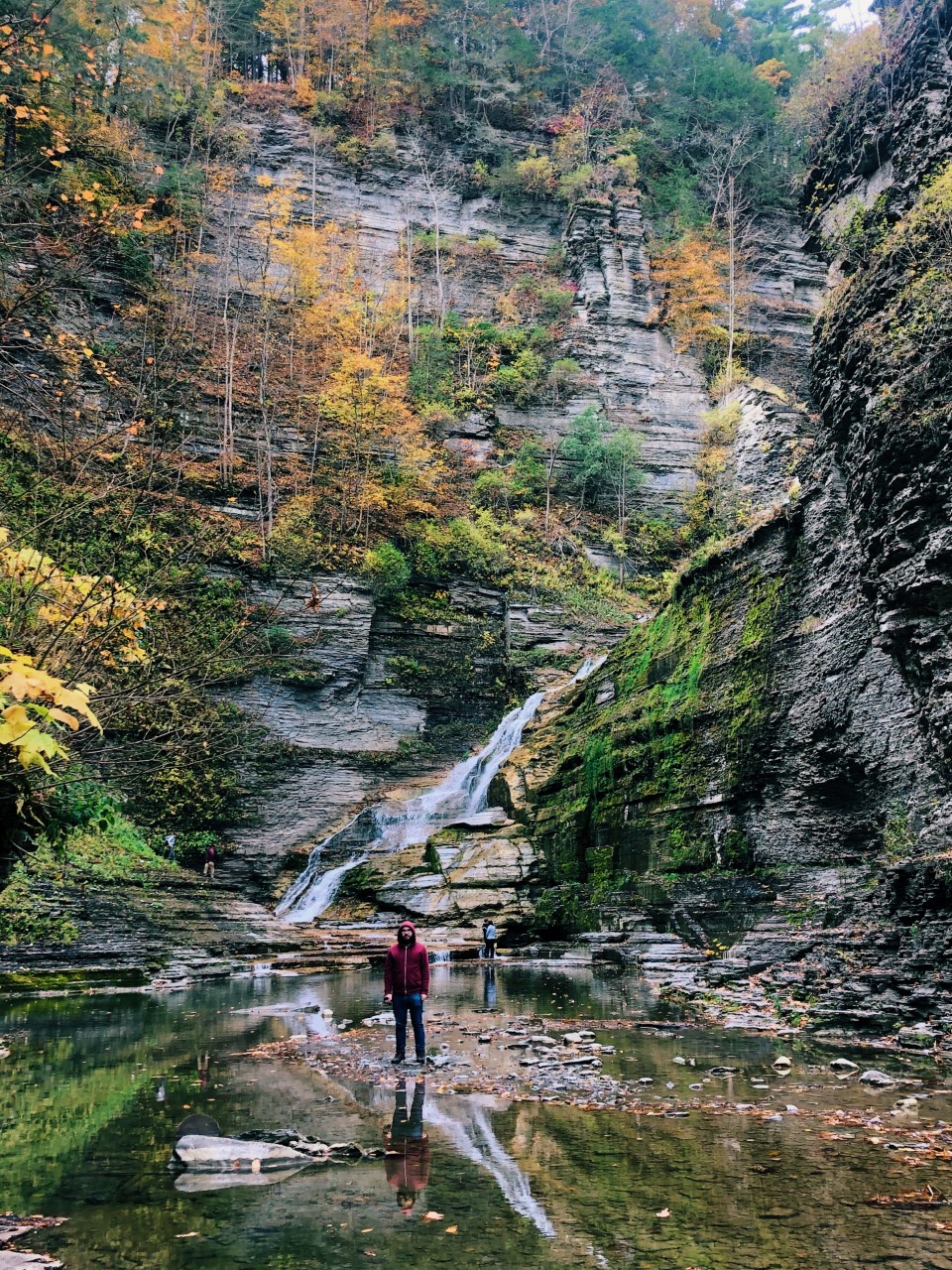 Hiking at Robert H. Treman State Park | Organized Mess