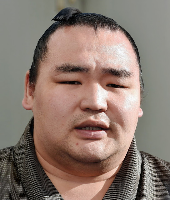 https://www.nikkansports.com/battle/sumo/news/201803240000671.html