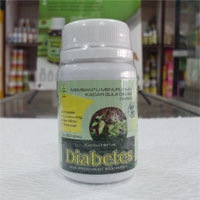 obat herbal diabetes mellitus
