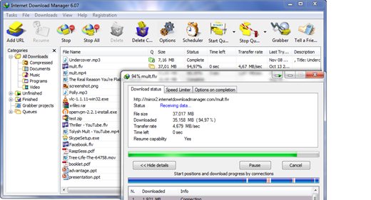 Download Internet Download Manager 6.12 Final 2012 With Patch