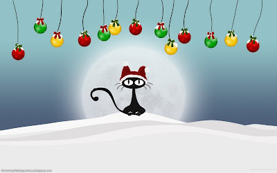 Christmas Cats HD Desktop Wallpapers