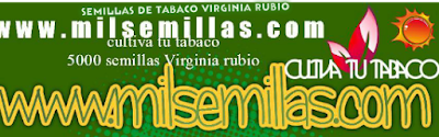  Cultiva tu Tabaco es Facil Compra tus Semillas De Virginia Rubio de Calidad en_: