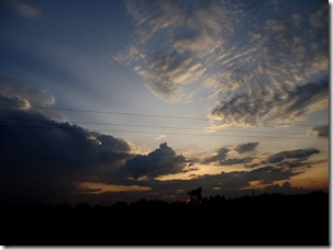 DSC05173
