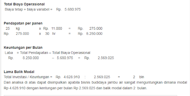 ERAQQ - Peluang Usaha Dan Analisa Budidaya Jambu Air Serta Modal Dan keuntungannya